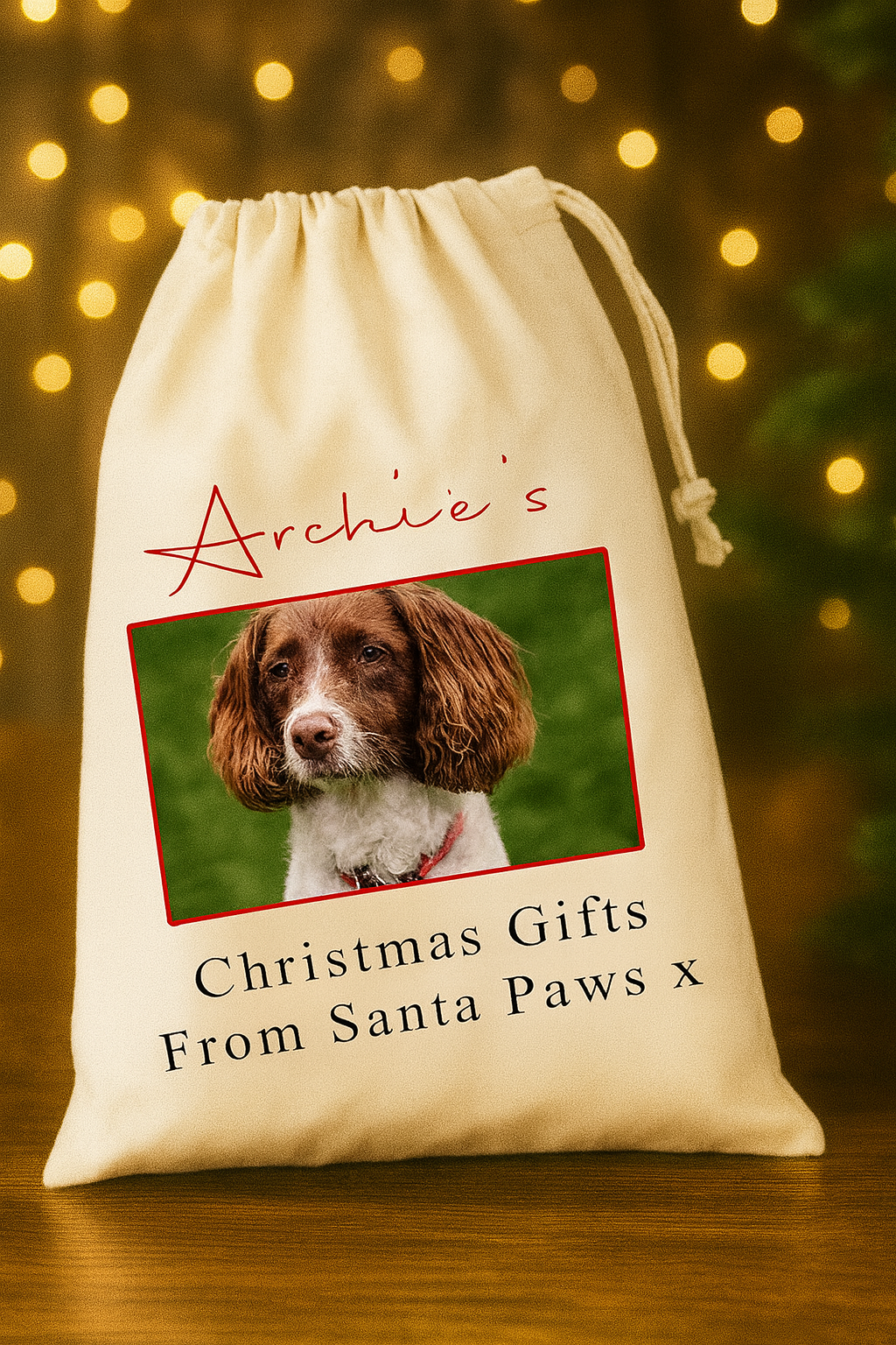 Personalised Pet Christmas Sack – Dog Photo Xmas Gift