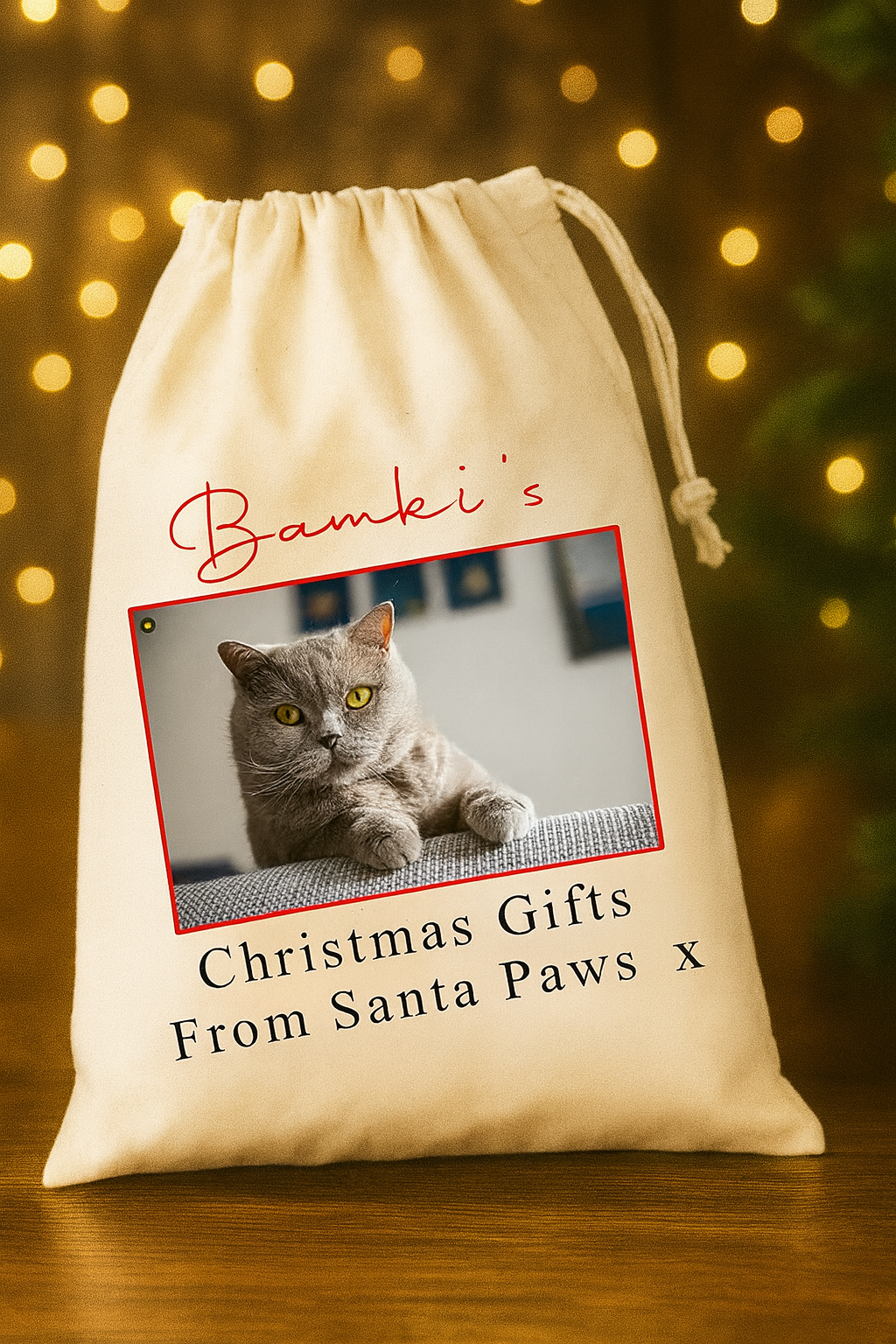 Personalised Pet Christmas Sack – Cat Photo Xmas Gift