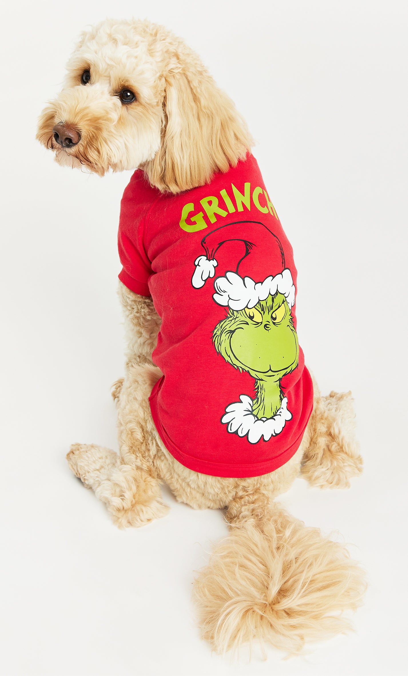 Family Matching The Grinch Christmas Pyjamas and Dog Jumper